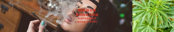 гашишное масло Козловка