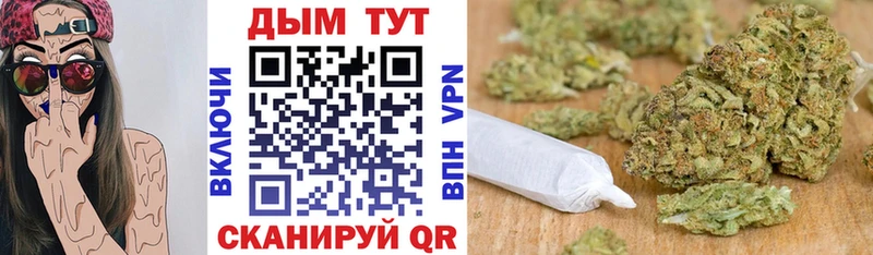 Бошки Шишки Amnesia  Купить закладки  Мегион 